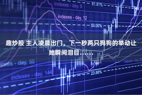 趣炒股 主人凌晨出门，下一秒两只狗狗的举动让她瞬间泪目……