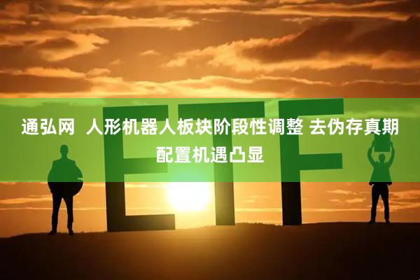 通弘网  人形机器人板块阶段性调整 去伪存真期配置机遇凸显