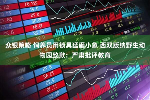 众银策略 饲养员用锁具猛砸小象 西双版纳野生动物园致歉：严肃批评教育