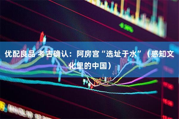 优配良品 考古确认：阿房宫“选址于水”（感知文化里的中国）